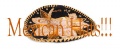 Thumbnail for version as of 13:11, 8 April 2011